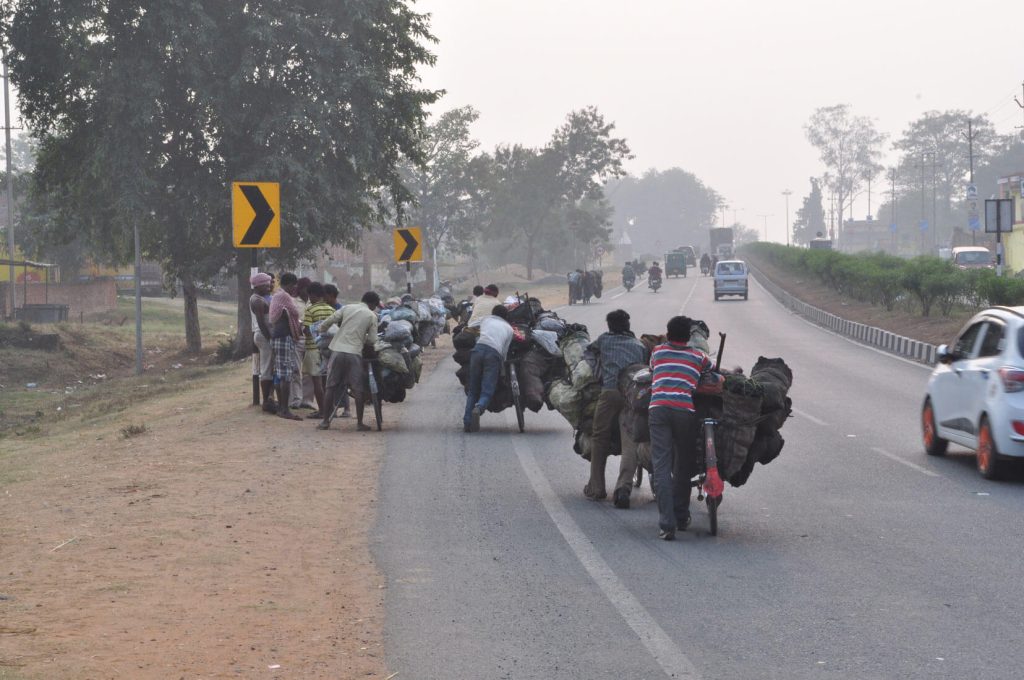 Transport de charbon illégal à vélo, Inde